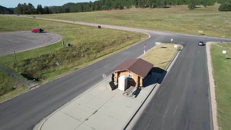 Best Root Management and Removal  in Dodson Branch, TN